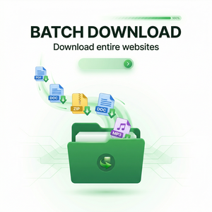 IDM官网 - IDM视频格式选择